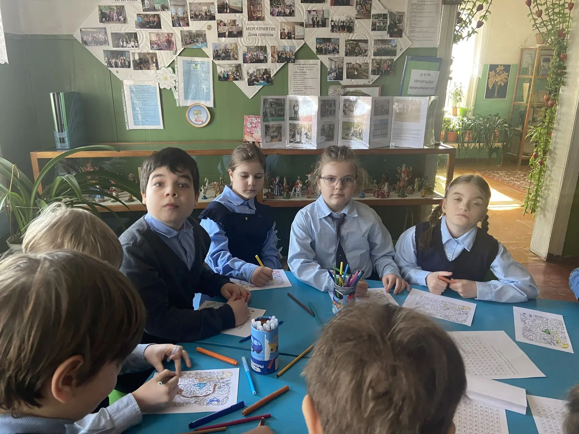 Дополнительное фото 2 к статье: Лес - наше богатство